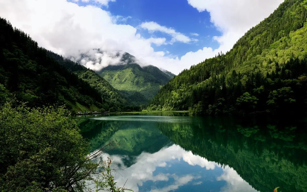 沈阳什么地方卖棉花糖机
